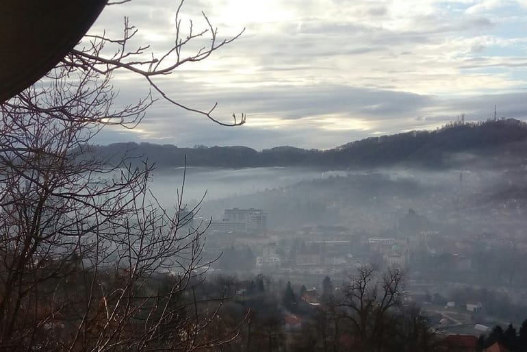 0501 zrak