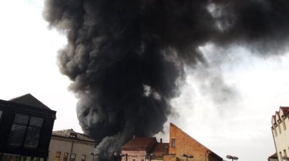 images/stories/sadrzaj/2019/20190102/5-_Pijaca/IMG_7747_1