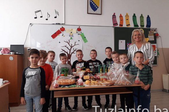 2110_danijabuke_skola (5)