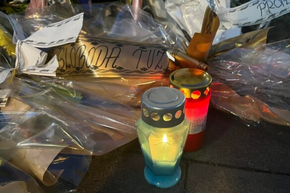 2505_kapijasirena (4)