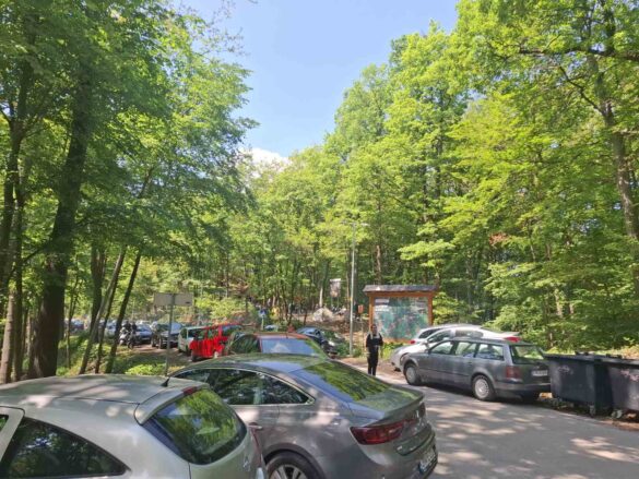 inbound2043153774730545824