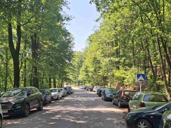 inbound3924679430773885529