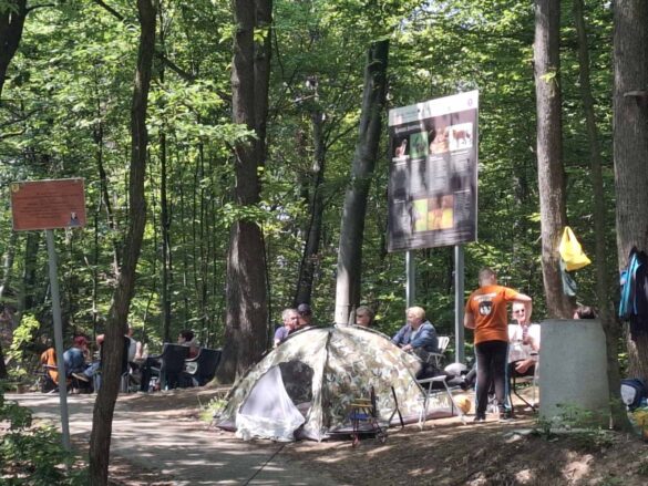 inbound4594578259019598833