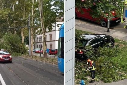 Foto: Društvene mreže