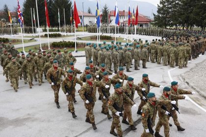 0212_eufor