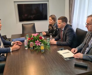 0304_razvojna_fejzic_vladatk
