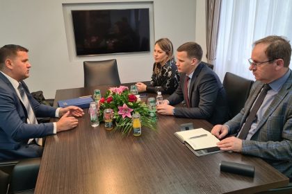 0304_razvojna_fejzic_vladatk