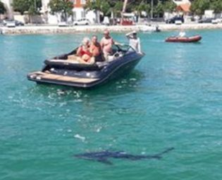 Foto: Screenshot/SibenikIn
