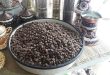 0412_kafa
