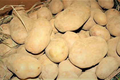 Foto: Arhiv/Tuzlainfo