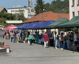 0809_sajam_meda (12)