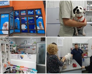 1110_veterinarska_kolaz
