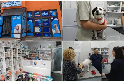1110_veterinarska_kolaz