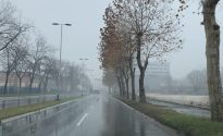 1212_kisa_jesen_mokro