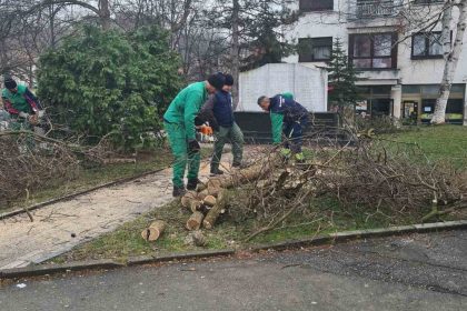 1402_ciscenje_komunalac_orezivanje