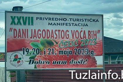 1405_danijadocastog voca