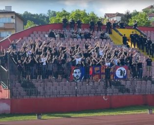 1405_lesinari