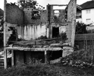 1406_zivalomaca_visegrad