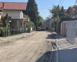 1408_mosnik