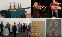 1409_violin