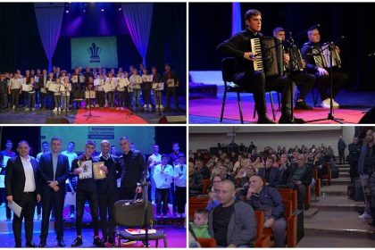 1611_harmonika