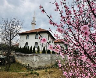1703_dzamija_krojcica (2)