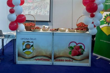 1705_jagodicastog_celic