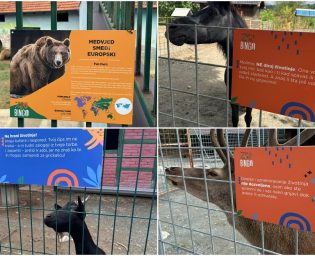 1807_table_zoo_vrt
