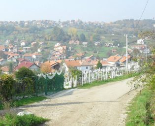 1905_moluhe
