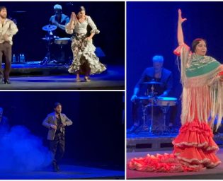 2009_flamenco
