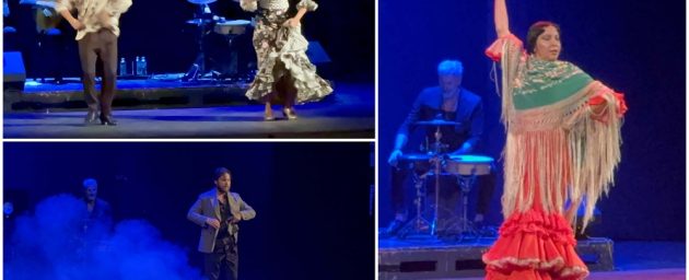 2009_flamenco