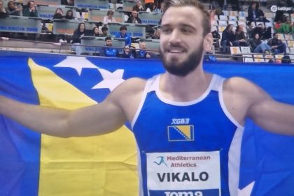 2201_vikalo