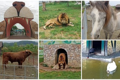 2406_zoo