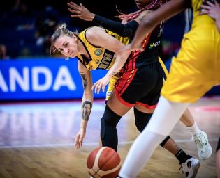 2609_zmajice