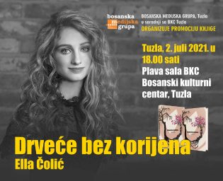 2806_drvece bez korijena