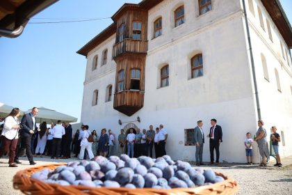 2808_sajam_sljive_gradacac (4)