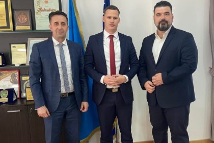 2903_mesalic_halilagic