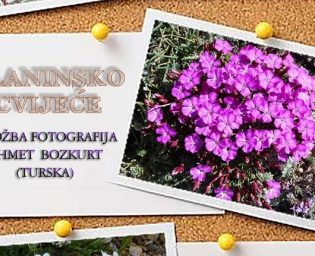 2908_plakat