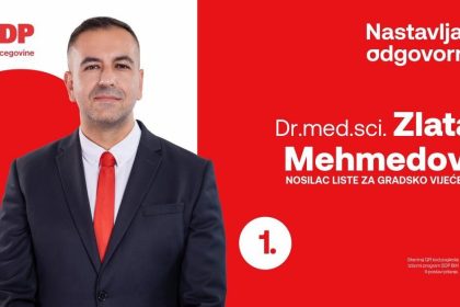 2909_zlatan_mehmedovic