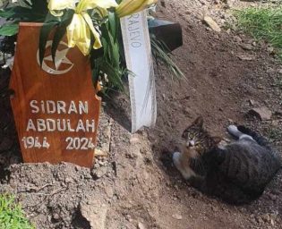 3003_sidran_macka