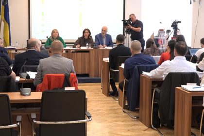Gradsko vijeće Tuzla - Arhiva