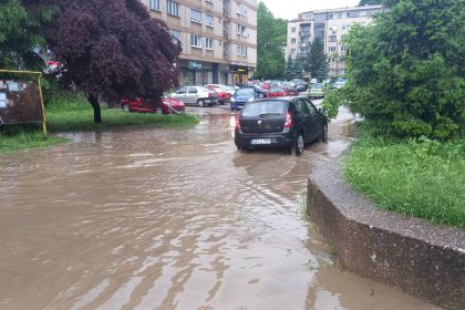 3005_tuzla_kisa