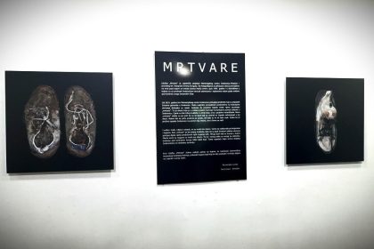 3006_mrtvare