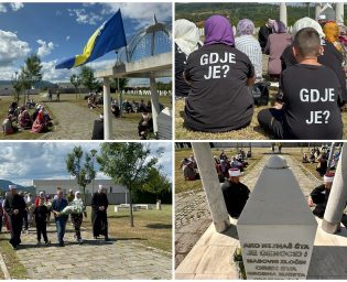 3008_nestali_kolaz
