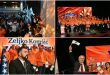3009_kolaz_df