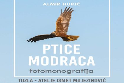 3009_ptice modraca
