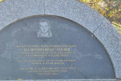 3010_hajrudin_mesic