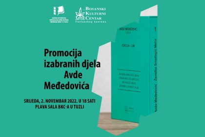3110_avdo_medjedovic-1024x691