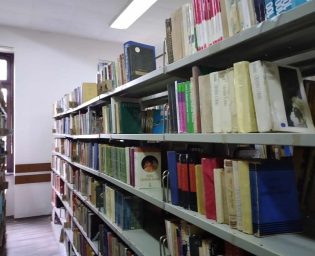 Biblioteka 2