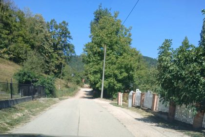 GRABOVICA